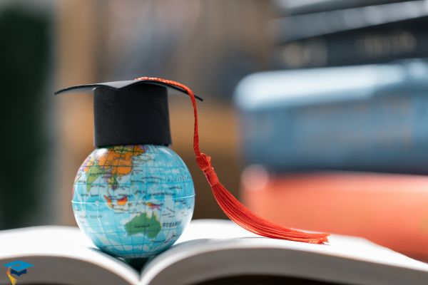 MSc Global Business